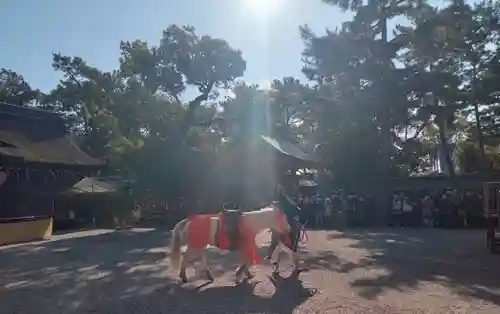 住吉大社(大阪府)