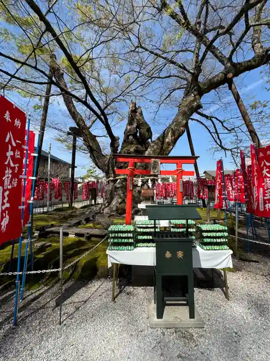 秩父今宮神社(埼玉県)