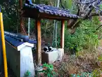 唯心寺(廃寺)の手水舎