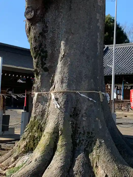 小泉神社のその他建物