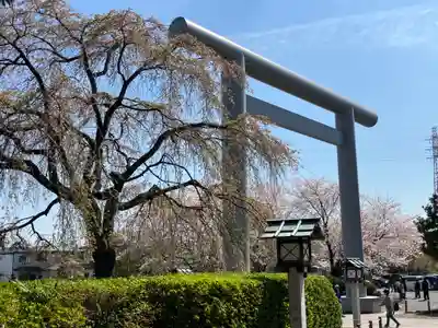 櫻木神社(千葉県)