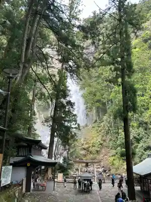 飛瀧神社(熊野那智大社別宮)(和歌山県)