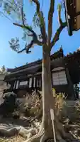 慶瑞禅寺(慶瑞寺)(大阪府)