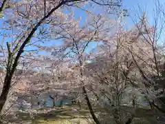 円通山神社の自然