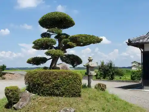 見性寺の庭園