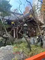 愛宕神社の自然