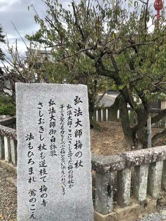 乙津寺 (鏡島弘法)(岐阜県)