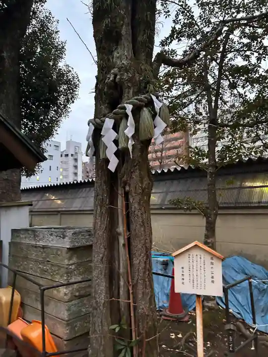 那古野神社(愛知県)