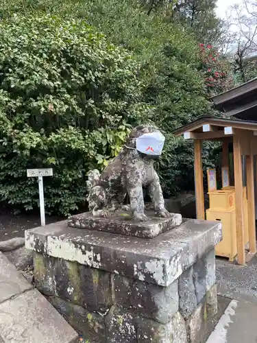 鶴岡八幡宮の狛犬