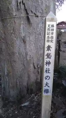 素鵞神社の自然