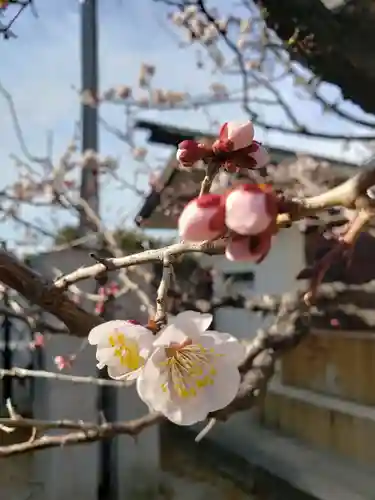 諏訪神社の自然