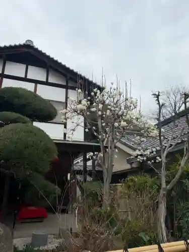慈眼寺の{uncategorized: "未分類", other: "その他", undefined: "問題あり", building: "その他建物", grave: "お墓", sacred_gate: "鳥居", guardian: "狛犬", statue: "像", buddha: "仏像", history: "歴史", nature: "自然", garden: "庭園", animal: "動物", pagoda: "塔", temizu: "手水舎", mountain_gate: "山門・神門", sanctuary: "本殿・本堂", subordinate: "末社・摂社", art: "芸術", scenery: "景色", jizo: "地蔵", ema: "絵馬", goshuin: "御朱印", omikuji: "おみくじ", items: "授与品その他", amulet: "お守り", goshuincho: "御朱印帳", eats: "食事", festival: "お祭り", votive_dance: "神楽", shichigosan: "七五三参", wedding: "結婚式", experience: "体験その他", initially: "初詣", around: "周辺", anti_infection: "感染症対策"}