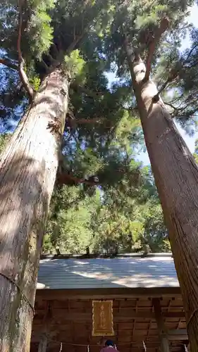 恵那神社(岐阜県)