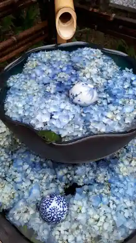 瑞玄寺の手水舎