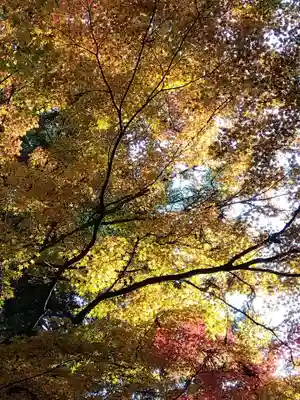 永平寺(福井県)