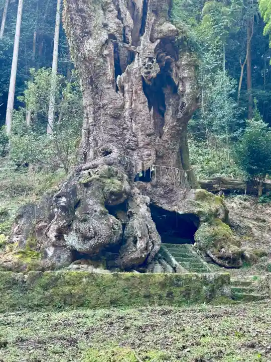 武雄神社の{uncategorized: "未分類", other: "その他", undefined: "問題あり", building: "その他建物", grave: "お墓", sacred_gate: "鳥居", guardian: "狛犬", statue: "像", buddha: "仏像", history: "歴史", nature: "自然", garden: "庭園", animal: "動物", pagoda: "塔", temizu: "手水舎", mountain_gate: "山門・神門", sanctuary: "本殿・本堂", subordinate: "末社・摂社", art: "芸術", scenery: "景色", jizo: "地蔵", ema: "絵馬", goshuin: "御朱印", omikuji: "おみくじ", items: "授与品その他", amulet: "お守り", goshuincho: "御朱印帳", eats: "食事", festival: "お祭り", votive_dance: "神楽", shichigosan: "七五三参", wedding: "結婚式", experience: "体験その他", initially: "初詣", around: "周辺", anti_infection: "感染症対策"}