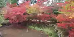 鍬山神社の自然