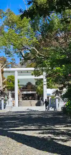 天津神明宮の{uncategorized: "未分類", other: "その他", undefined: "問題あり", building: "その他建物", grave: "お墓", sacred_gate: "鳥居", guardian: "狛犬", statue: "像", buddha: "仏像", history: "歴史", nature: "自然", garden: "庭園", animal: "動物", pagoda: "塔", temizu: "手水舎", mountain_gate: "山門・神門", sanctuary: "本殿・本堂", subordinate: "末社・摂社", art: "芸術", scenery: "景色", jizo: "地蔵", ema: "絵馬", goshuin: "御朱印", omikuji: "おみくじ", items: "授与品その他", amulet: "お守り", goshuincho: "御朱印帳", eats: "食事", festival: "お祭り", votive_dance: "神楽", shichigosan: "七五三参", wedding: "結婚式", experience: "体験その他", initially: "初詣", around: "周辺", anti_infection: "感染症対策"}