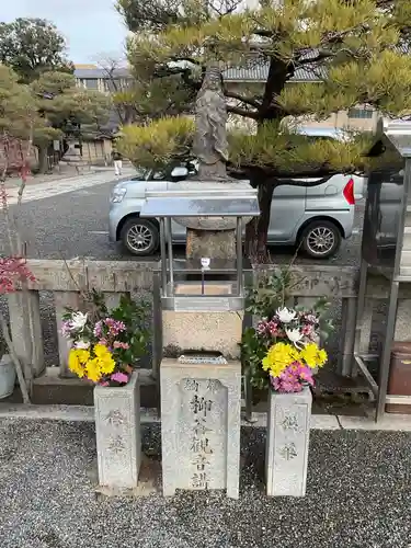 東寺（教王護国寺）の動物