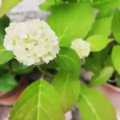 豊景神社の自然