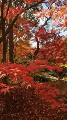 禅林寺(永観堂)(京都府)