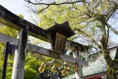 御霊神社(京都府)
