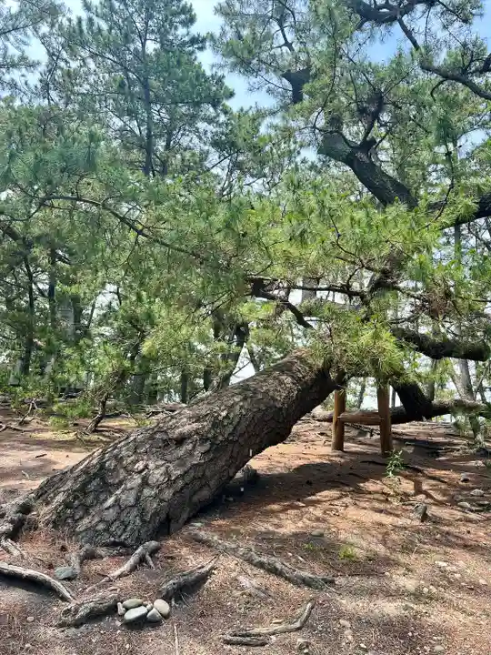 羽車神社(静岡県)