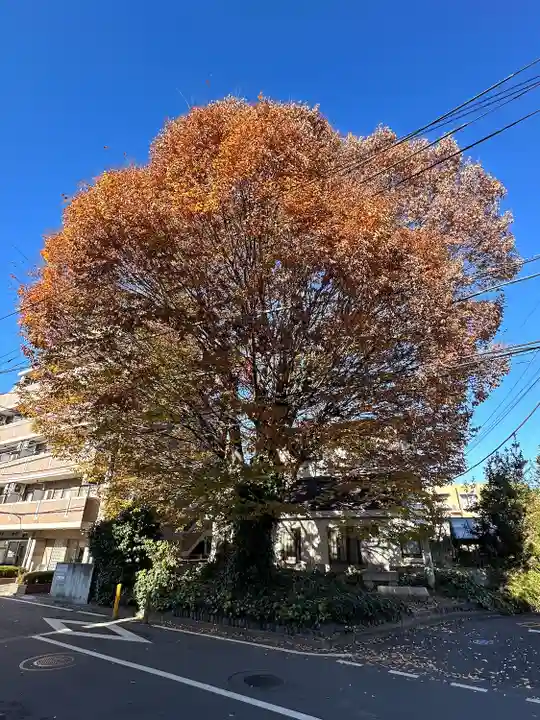 小野神社(東京都)