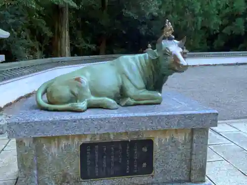 金剛證寺の狛犬