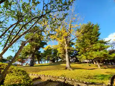麓山神社の自然