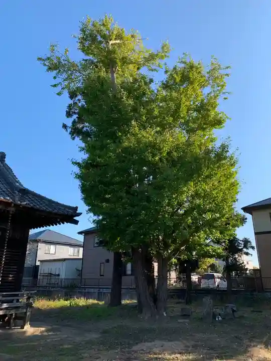 熊野神社の自然