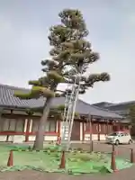 蓮華王院(三十三間堂)(京都府)