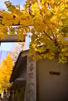 銀杏岡八幡神社(東京都)