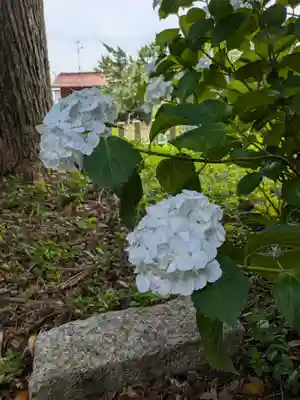 大領神社(岐阜県)