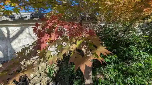 宝菩提院願徳寺(京都府)
