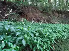 天岩戸神社(宮崎県)