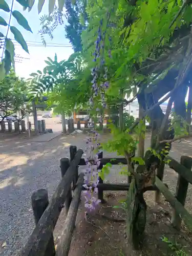 桐生天満宮(群馬県)