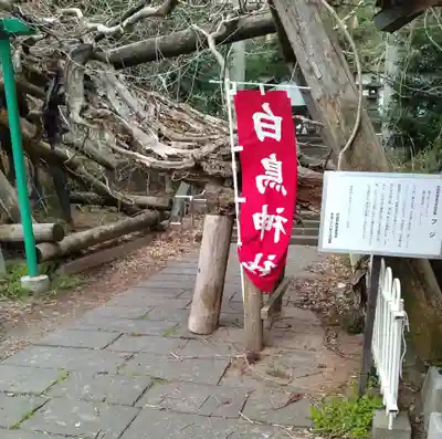 白鳥神社(宮城県)