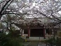 正樂寺の本殿・本堂