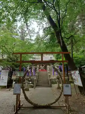 下野 星宮神社(栃木県)