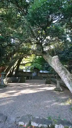 竹野神社のその他建物