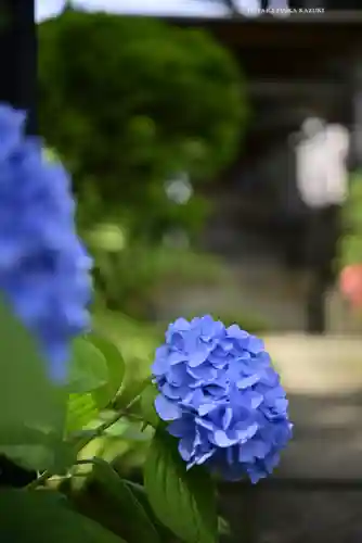 白山神社(東京都)