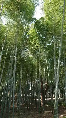 大平八幡宮の自然