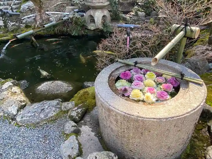 一條殿 新善光寺(京都府)