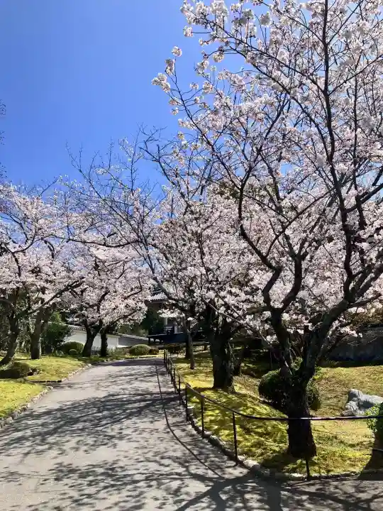 妙法寺(佐賀県)