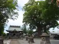 豊福阿蘇神社のその他建物