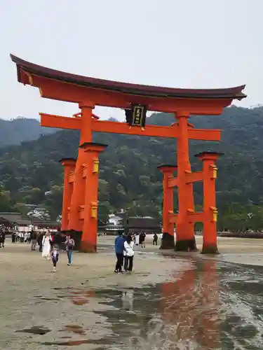 厳島神社(広島県)