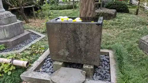 常立寺の手水舎