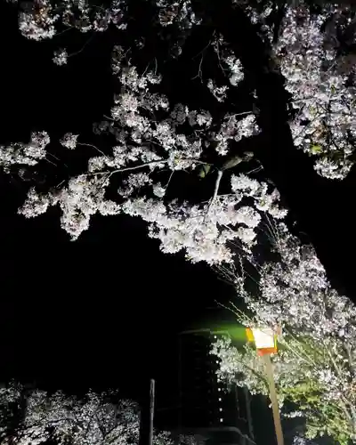 尾張大國霊神社（国府宮）(愛知県)
