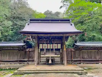 若狭彦神社（上社）の本殿・本堂